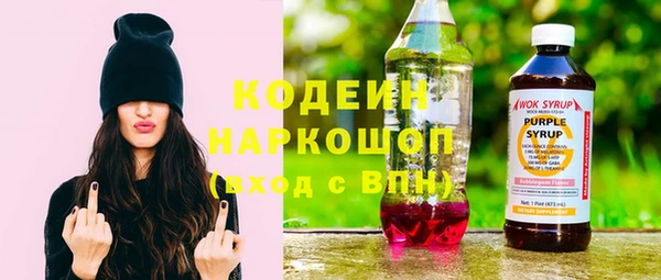 прущие грибы Кодинск